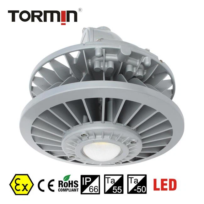 200W Explosion Proof Light - BC9306S Spotlight Series