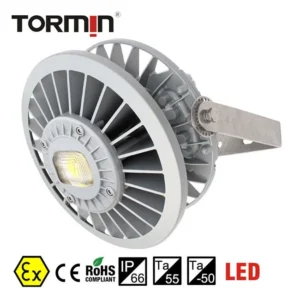 LED Explosion Proof Spotlight - BC9307P Series