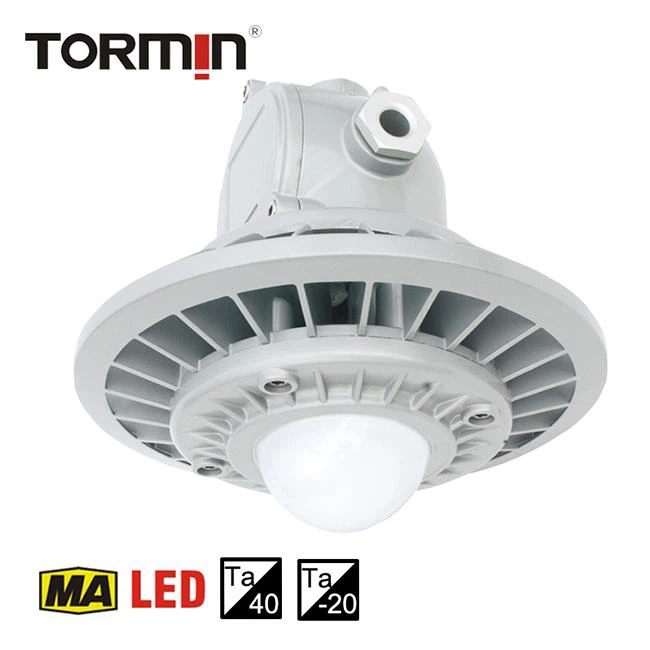 Mine Safety Lighting DGS20/127L(C), DGS30/127L(C), DGS45/127L(C)