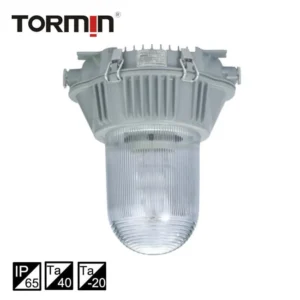 Anti Dazzle HPS Floodlight ZY8600 Series