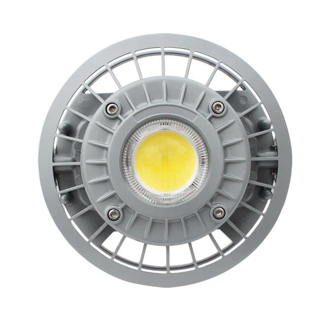 Ex Proof Luminaire - BC9306P Series - Image 3