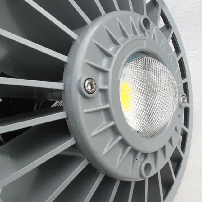 Explosion Proof Emergency Light BC9306AP, BC9306BP - Image 4