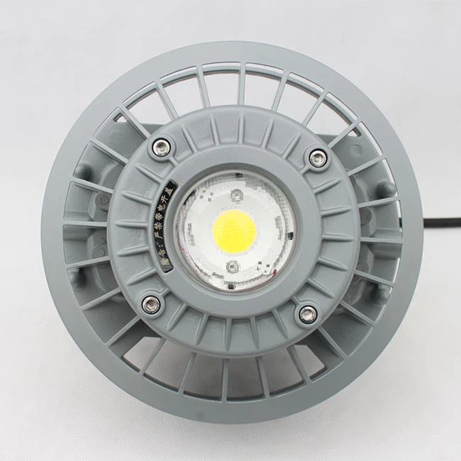 Explosion Proof Emergency Light BC9306AP, BC9306BP - Image 3