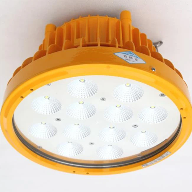 Explosion Proof Lighting Fixtures - BC9303 Series - Image 3