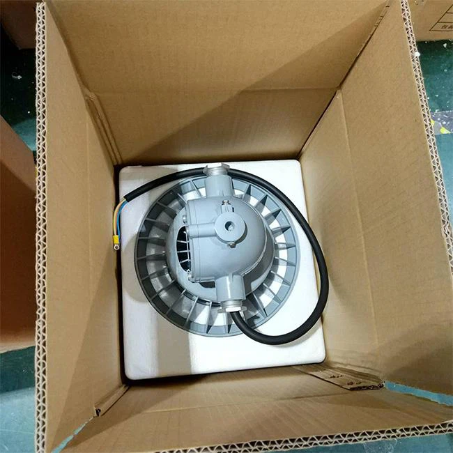 Mine Safety Lighting DGS20/127L(C), DGS30/127L(C), DGS45/127L(C) - Image 4